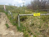 Wehikul 25 lat SKT (117)